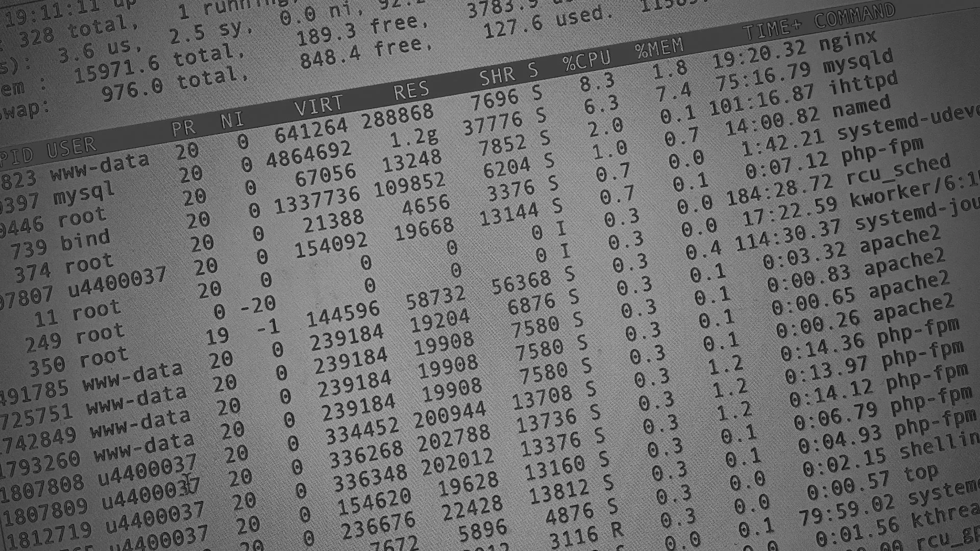 Настройка сервера в Малоархангельске